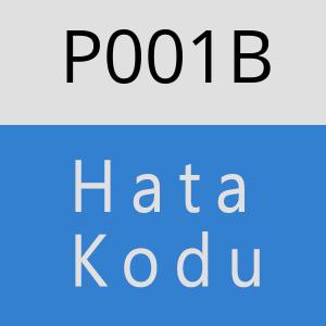 P001B Hata Kodu – P001B Hata Kodu Sorunu ve Çözümü