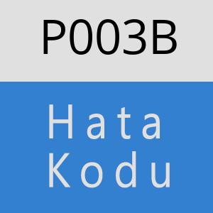 P003B Hata Kodu – P003B Hata Kodu Sorunu ve Çözümü