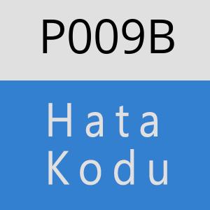 P009B Hata Kodu – P009B Hata Kodu Sorunu ve Çözümü