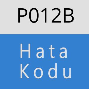 P012B Hata Kodu – P012B Hata Kodu Sorunu ve Çözümü