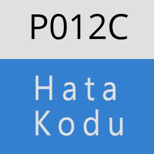 P012C Hata Kodu – P012C Hata Kodu Sorunu ve Çözümü