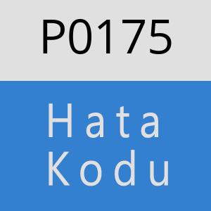 P0175 Hata Kodu – P0175 Hata Kodu Sorunu ve Çözümü