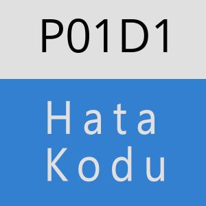 P01D1 Hata Kodu – P01D1 Hata Kodu Sorunu ve Çözümü