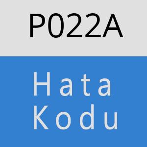 P022A Hata Kodu – P022A Hata Kodu Sorunu ve Çözümü