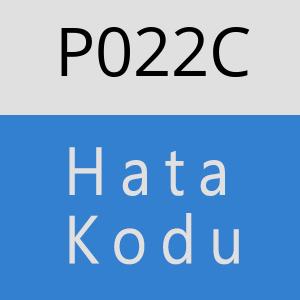 P022C Hata Kodu – P022C Hata Kodu Sorunu ve Çözümü