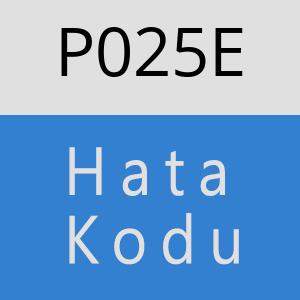 P025E Hata Kodu – P025E Hata Kodu Sorunu ve Çözümü