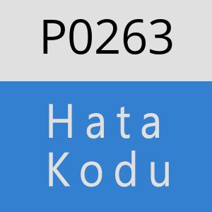 P0263 Hata Kodu – P0263 Hata Kodu Sorunu ve Çözümü