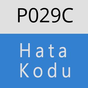 P029C Hata Kodu – P029C Hata Kodu Sorunu ve Çözümü